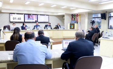 Um carro vendido, uma árvore plantada. Vereadores reprovam