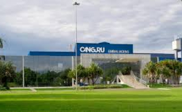 Canguru doa mil aventais ao HSJ