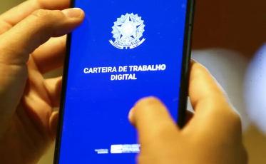 Região Sul fecha 2024 com mais de 9,7 mil novos empregos gerados