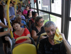 Câmara vota PL que exige climatização nos ônibus