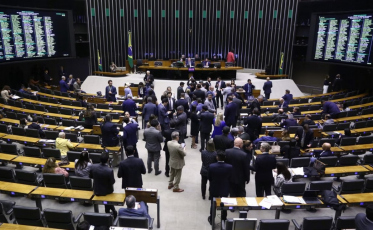 SC pode ter quatro novos deputados federais; veja como votaram os catarinenses