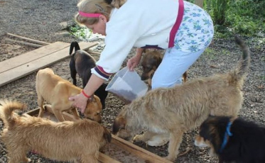 [Áudio] OPA deixa canil e teme destino de 120 animais em Balneário Rincão