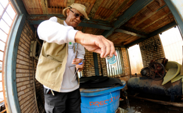 Casos de dengue superam 2,3 mil em 2019