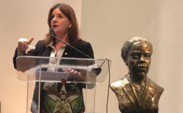 Deputada se opõe à incorporação da Eletrosul à CGTEE