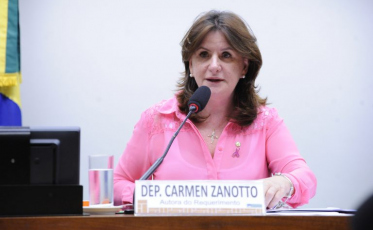 Comissão sobre coronavírus aguarda envio de novo projeto sobre emergências internacionais