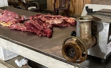 Carne de cavalo para consumo humano: Justiça concede liberdade a suspeitos de envolvimento 