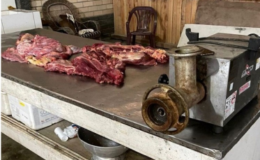 Vaza ofício com estabelecimentos que estariam comprando carne de cavalo