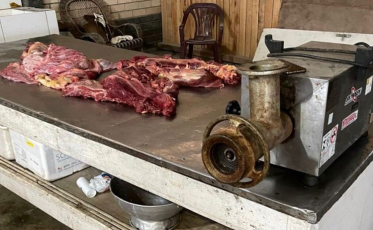 De carne de cavalo para consumo humano à drogas, itens apreendidos em Morro da Fumaça (FOTOS)