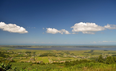 Um ano em que o céu brilhou. Demais