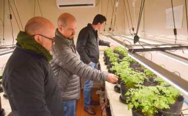 Container de cultivo automatizado da Satc recria qualquer clima e acelera testes agrícolas