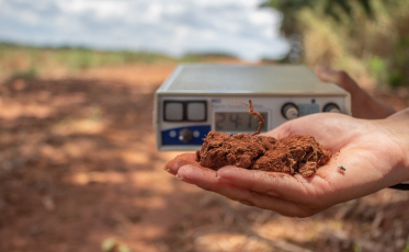 Connex 2023 adota medidas sustentáveis e promove evento neutro em carbono 