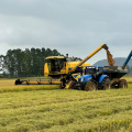 Tarifaço dos EUA atinge arroz brasileiro e aumenta pressão sobre produtores