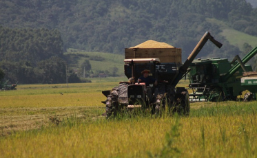 No aniversário, os problemas da economia