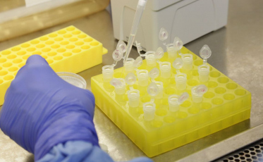 Pessoas que tiveram contato com infectado por Covid-19 são monitoradas