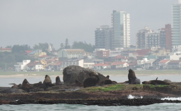 Professor da Unesc tem pesquisa reconhecida por revista de divulgação nacional