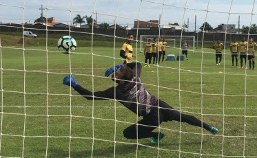 Tigre a caminho da estreia na Copa do Brasil