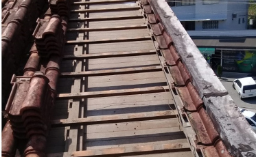 Especialistas recomendam prevenção a cupins em diferentes épocas do ano