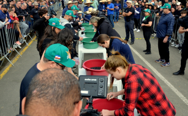 Festa do Colono de Siderópolis atrai mais de 40 mil pessoas nos dois primeiros dias