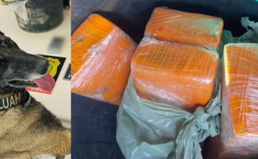 Polícia Civil apreende 3,5 quilos de entorpecentes e prende homem em flagrante em Criciúma