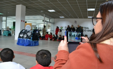 “Dá licença que meu boi quer passar”