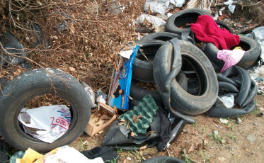 O salto dos focos de dengue em Araranguá