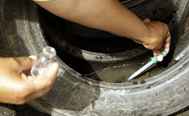 Foco do mosquito da dengue é encontrado em Lauro Müller