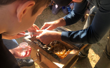 Escola S de Criciúma promove ação especial em alusão ao Dia da Abelha