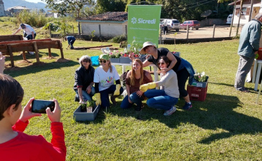 Sicredi mobiliza rede voluntária no Dia de Cooperar