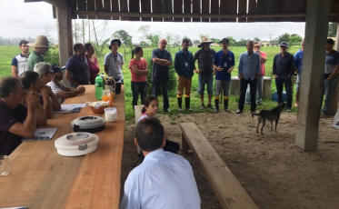 Melhoramento e plantio direto de pastagens em dia de campo