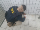 PRF apreende meio quilo de cocaína em bolsa de bebê