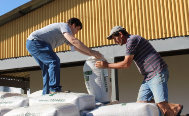 Prefeitura de Criciúma distribui sementes de pastagem de inverno