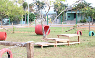 Um espaço para os pets no Parque Altair Guidi