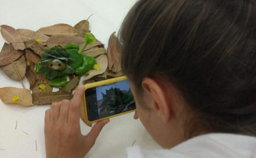 Com criatividade e humor estudantes criam livro 