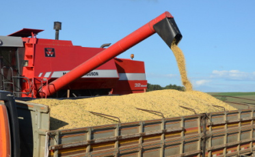 Safra 2019/2020: mais soja, menos milho e produtividade elevada