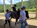 Saúde: sessões de equoterapia são oferecidas gratuitamente em Urussanga 