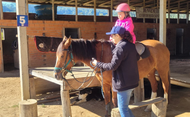 Tratamento alternativo com equoterapia é oferecido em Urussanga