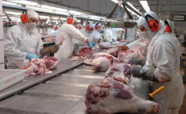 Santa Catarina em alta nas exportações de carne