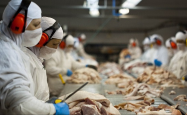 SC encerra 2018 com alta nas exportações de carnes