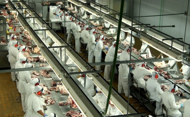 SC com alta nas exportações de carne