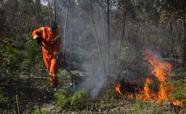 Sul catarinense tem risco médio a alto de queimadas