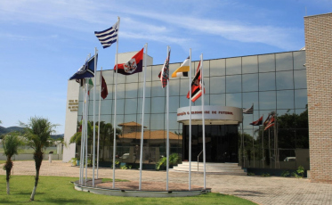 FCF cria regime especial de atendimento para clubes