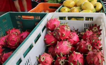 Feira da Agricultura Familiar é retomada em Criciúma