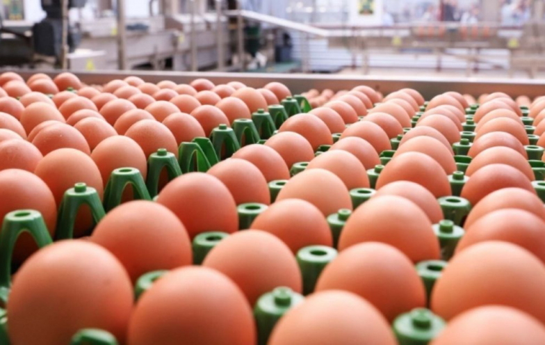 'Rei do Ovo' acelera expansão da Global Eggs após aporte de até US$ 1 bilhão