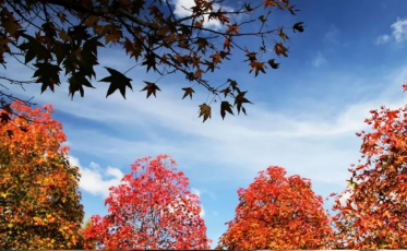 Outono em SC terá temperaturas acima da média e preocupação com a chuva no litoral 