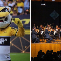 Viva Corbetta terá atrações para toda a família neste sábado em Criciúma