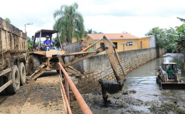 Resto de poda atirado no Rio Criciúma