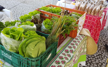 Feira da Agricultura Familiar será realizada nesta quinta-feira