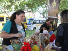 Feira da Agricultura Familiar movimenta Paço Municipal