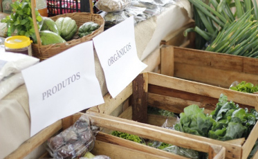 Feira da Agricultura Familiar completa um ano de vendas no sistema delivery