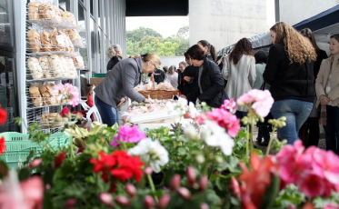 Tem Feira da Agricultura Familiar na quinta-feira